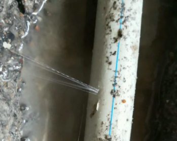 当雄卫生间测漏水多少钱
