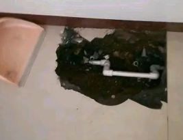 当雄卫生间测漏水多少钱
